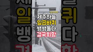 국내선 비행기 3시간 탔다는 썰