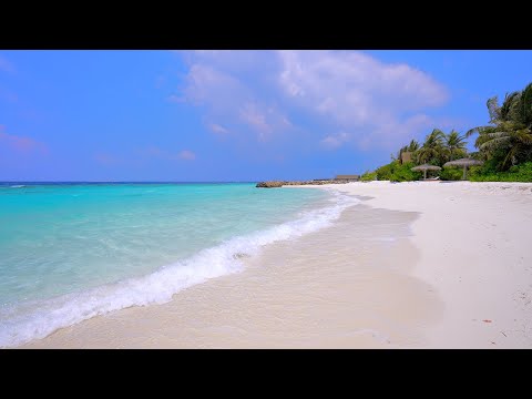 Heaven on Earth: Maldives & Ocean Waves 4K 60FPS Dolby Vision