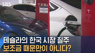 테슬라의 한국 시장 질주, 보조금 때문만이 아니다? / SBS