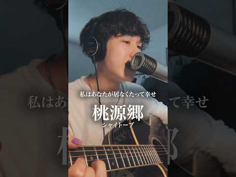 桃源郷 / シャイトープ#弾き語り #歌ってみた  #music #シャイトープ #桃源郷 #毎日投稿