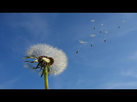 美丽的浪漫音乐 - 放松音乐, 小提琴音乐, 钢琴音乐, 睡眠音乐 | Beautiful Romantic Music, Piano Music,Violin Music