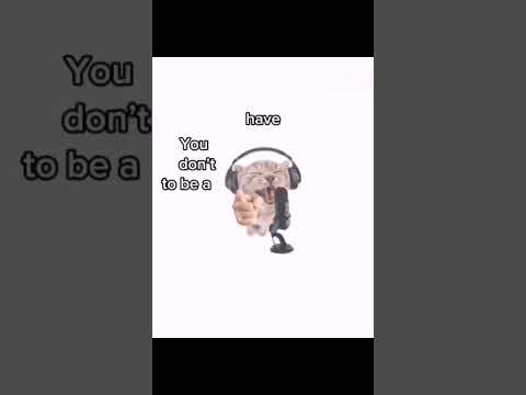 hey hey lover#cute #viralshort #trendingshorts #cat #kitty #kitten#cats#edit #music