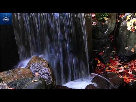 Beautiful Relaxing Sleep Music - Deep Sleeping Music, Relaxing Sleep Music, Stress Relief, Meditatio