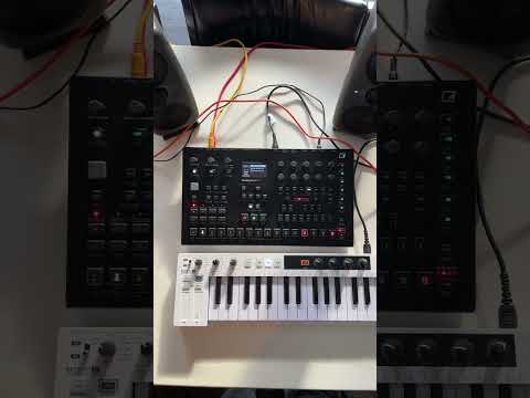 Stephan Bodzin’s Singularity on analog four