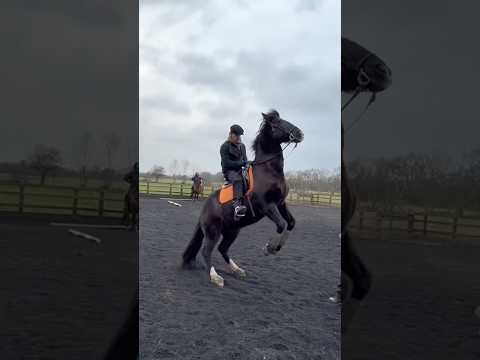 YUNGBLUD - learnin 🐎 #yungblud #shorts
