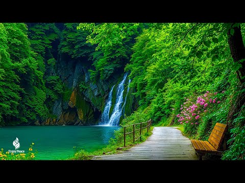 Healing Harmony: Music for the Heart 🌿 Relaxing music to reduce stress
