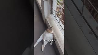 leave me alone bro