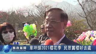 草坪頭2021櫻花季 民眾賞櫻好去處