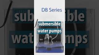Aqua Dream 90 GPH Water Pump! 🐠