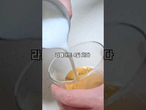 라떼아트 4일차 벨벳밀크가 무엇인지 알게된것이 아니었다