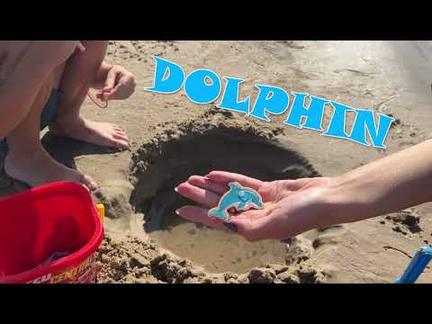 Is Your Kid Ready to Discover the MOST FASCINATING Sea Animals?