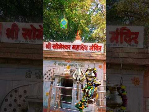 महादेव स्टेटस| Mahdev new hd status | shiv ji ka status | Har har mahadev| #mahakal #someshwar ☘️🌹
