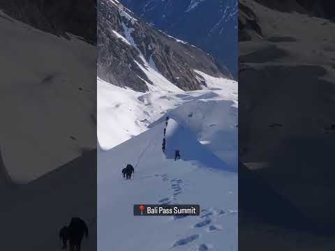 Bali Pass Trek Summit peak