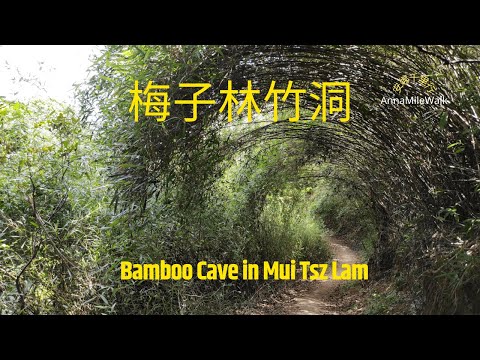 梅子林到北港行山 途經特色竹洞 俯視西貢避風塘#Ma On Shan Country Park to Sai Kung#香港行山#Hong Kong Hiking trails#香港行山路線