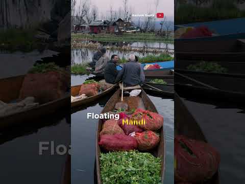 Life on a Lake in Kashmir | Dal Lake | Srinagar #documentary