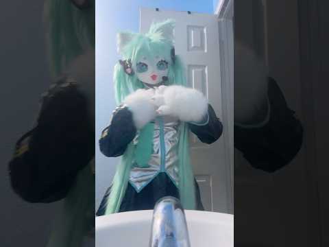 #furry #vocaloid #miku