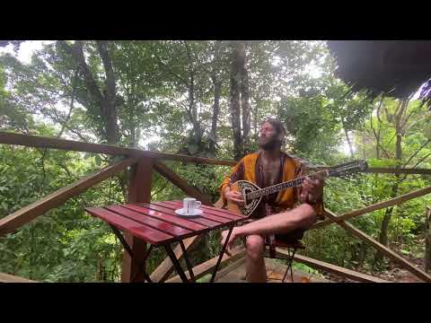 pettra - Morning jam in the jungle