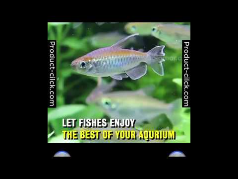 aquarium water eco purifier cube