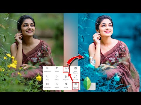 Snapseed - Just 2 Step Cyan Blue Effect 🔥| Snapseed Amazing Editing Tricks - Akash Editz