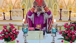 Holy Mass May  31  Saturday 5.30  AM I I Syro  Malabar I Fr Bineesh Augustine  Malayalam