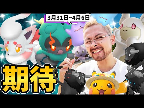 【追記コメント✅】期待！！ヒスイゾロアのサプライズ欲しいよな！？マーシャードーもケンタロスもメガタブンネもバルキーも期待してるんだよ！【ポケモンGO】
