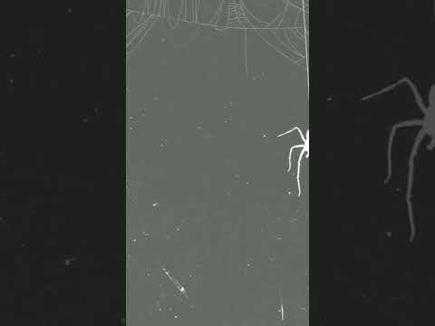 Cold Nights 🥶 #metroboomin #metroboomintypebeat #typebeat #reel #ytshorts #2024 #youtubeshorts #fyp