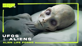 Alien Life Forms | UFOs & Aliens