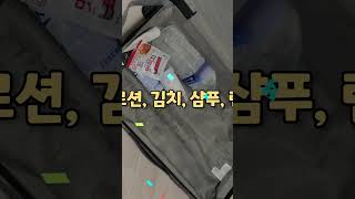 이게 다 가능하다고⁉️ 국내선에 00을 들고 탈 수 있다니🚰 여러분들 아셨나용😮 #이스타항공 #항공사 #shorts