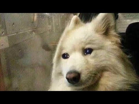 2000s songs to play while staring at the car window | throwback playlist