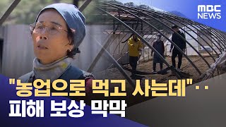 "농업으로 먹고 사는데"‥ 피해 보상 막막 (2025.03.30/뉴스데스크/안동MBC)