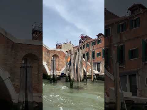 #venice #rialtobridge #europetravel #europe