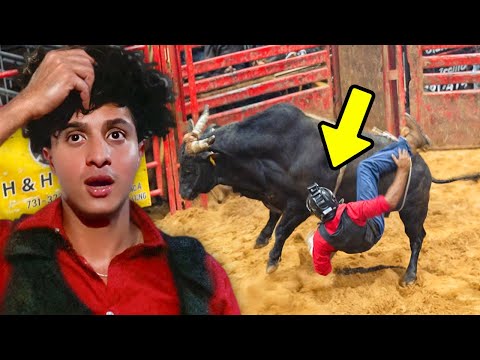 I Rode a Bull…