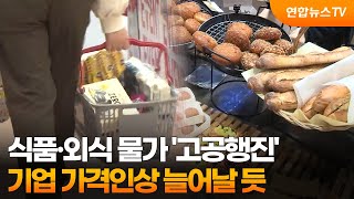 식품·외식 물가 '고공행진'…기업 가격인상 늘어날 듯 / 연합뉴스TV (YonhapnewsTV)