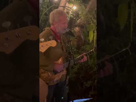 Don't Let Go 3/2/25 Matt Hartle Friends #gratefuldead #mhf Grateful Dead #jam #jerrygarciaband #jgb