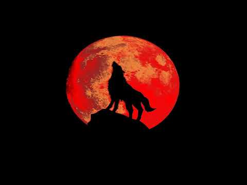 (SALE) 21 Savage x Metro Boomin - "Wolf" Ft. Post Malone x Swae Lee x Savage Mode 2 x Type Beat 2020