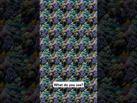 What do you see?👀 #stereogram #3deffects #stereo3d