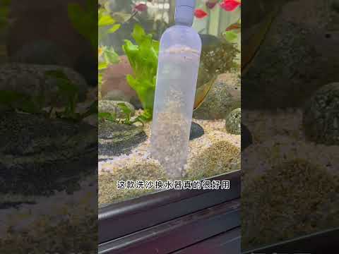 我太爱了，有了这个洗沙换水器，每次清理鱼缸解压又放松#养鱼日记 #洗沙器 #换水器 #鱼缸换水