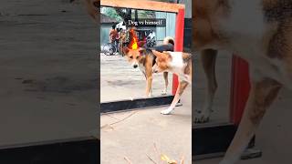 Best Funny video #trending #shorts #fun #viralvideo #foryou #funny #viralshorts #shortsblackpink