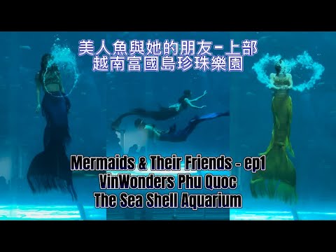🇻🇳 Amusement Park VinWonders: Mermaid show at Sea Shell Aquarium (ep1) 珍珠樂園巨型海龜水族館-美人魚與她的朋友 (上部)