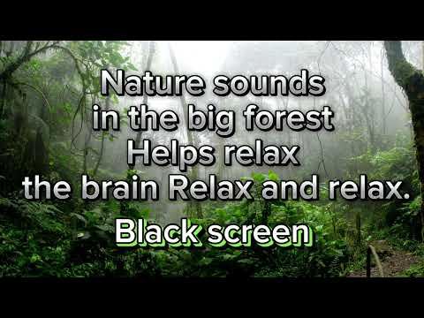 sounds from nature In the vast forest