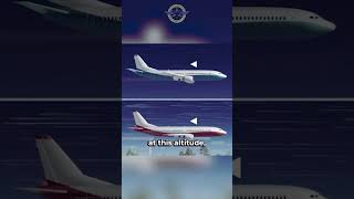 Why do planes fly so high?✈️