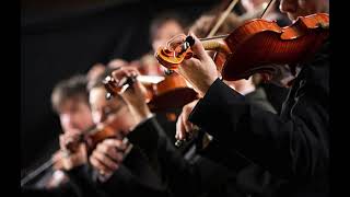 Violin Section Type Beat - String Section
