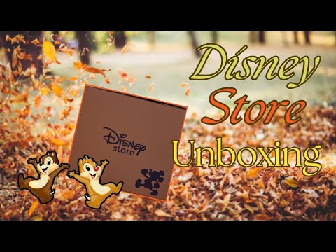 ✨️Unboxing Magic from the Disney Store + Channel Update ✨️