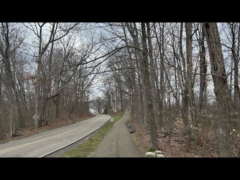Walking the trail clearing my thoughts