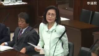 糸数慶子 沖縄の風 法務委員会 2017年12月5日