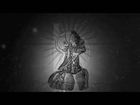 NOMENKLATÜR - Fascinated By The Chaos - Trailer