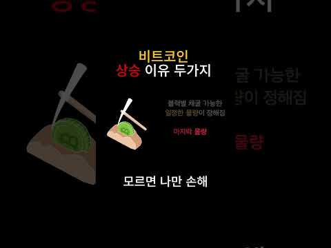 비트코인 상승이유 딱 2가지