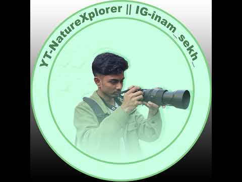 NatureXplorer Live Stream
