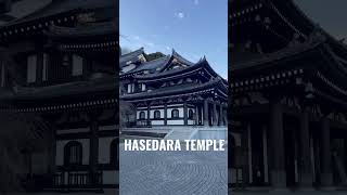 Beautiful Japan Buddha Temple- Hasedara, Kamakura #japanlife #japanshorts #japantemple #japan