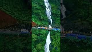 Embrace the Wild: Journey into the Heart of Nature with Travel with Nature